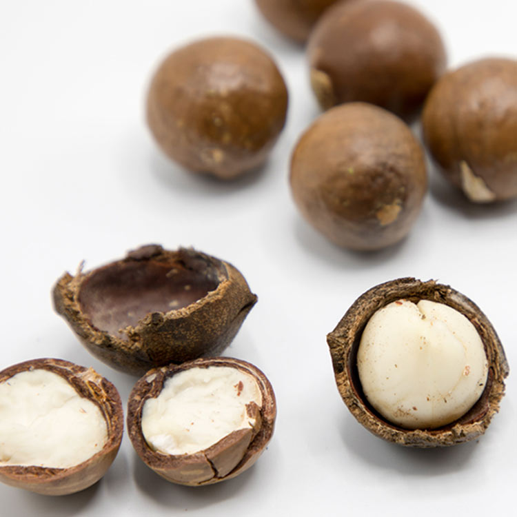 prima-macadamia prima-macadamia
